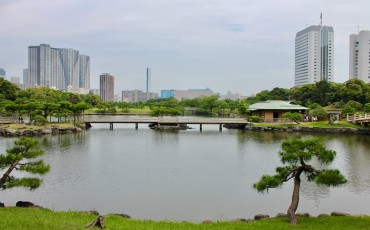 Looking Out Across the Water at Hamarikyu