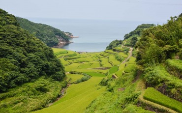 voyapon-saga-rizieres-kyushu-6