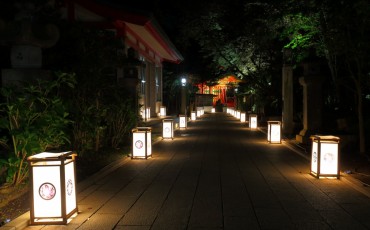 Enoshima illunication event in summer.