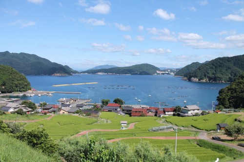 Terraced rice field, Fukui prefecture