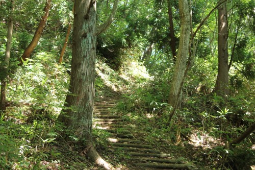 The climbing path of Mount Aoba, Fukui prefecture