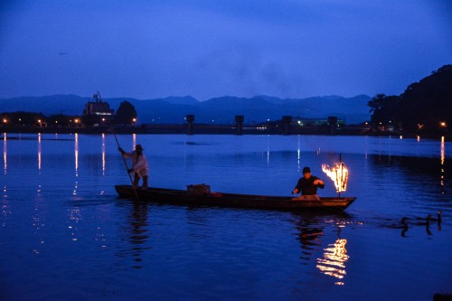 Cormorant fishing is a 400-year-old tradition in Hita city, Oita prefecture, Japan.