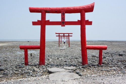 The Kaichu Torii Shrine is an important place and has become a symbol for the village,Tara, Saga.