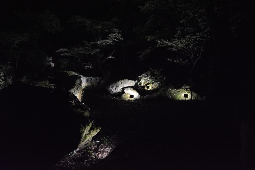 The Exhibition "a Forest Where Gods Live" produced by Teamlab at Mifuneyama rakuen garden at Takeo onsen, Saga.