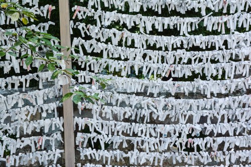 Omikuji where I found at Goshadaimyo shrine which is the oldest shrine at Takeo onsenin Saga.