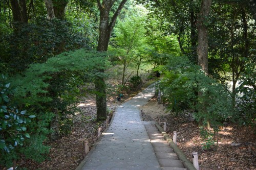 the path to reach the holy Camphor Tree, Ohkusu at Takeo onsen, Saga prefecture, Kyushu.