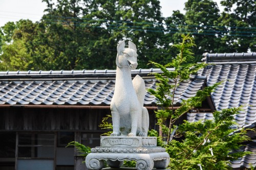The inari statue of Kagamiyama shrine, Karatsu, Japan.