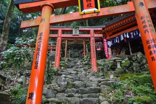 The pass under the red torii, Yutoku inari shrine, Saga, Kyushu.