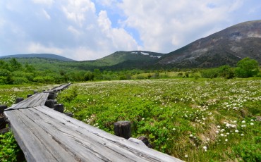 Jododaira marshland in Fukushima