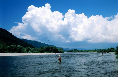 Catching the salmon at Miomote River, Murakami is known as the salmon town in Japan.