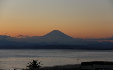 s_富士山 藤沢市観光協会 (5) (1)