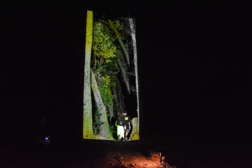 The Exhibition "a Forest Where Gods Live" produced by Teamlab at Mifuneyama rakuen garden at Takeo onsen, Saga.