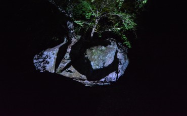 The Exhibition "a Forest Where Gods Live" produced by Teamlab at Mifuneyama rakuen garden at Takeo onsen, Saga.