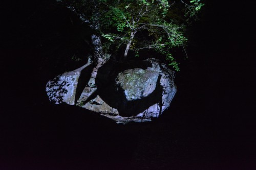 The Exhibition "a Forest Where Gods Live" produced by Teamlab at Mifuneyama rakuen garden at Takeo onsen, Saga.