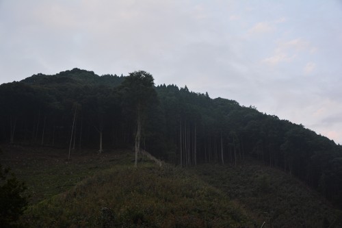 The mountain view in front of the house in Saiki city, Oita prefecture, Kyushu.