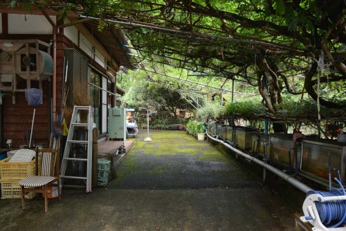 Guesthouse Gardens in Saiki city, Oita prefecture, Kyushu.