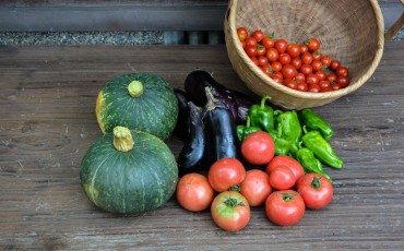 Green tourism and farmer's stay experience in Saiki city, Oita prefecture, Kyushu.
