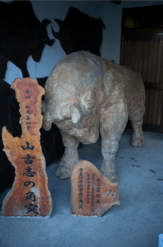 Yamakoshi village in Niigata prefecture is famous for the bull fighting , Japan.