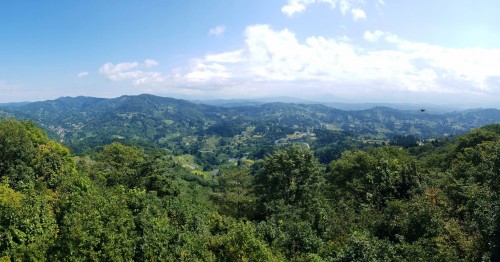 The natural landscape at Yamakoshi, Niigata prefecture, Japan.