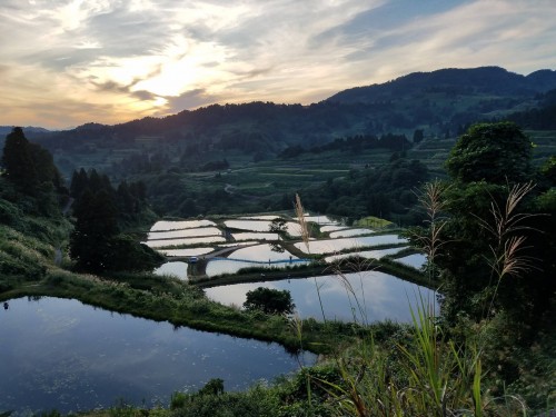 Yamakoshi is listed on the Japan’s Agricultural Heritage and is known for the birthplace of Nishiki Koi in Japan.