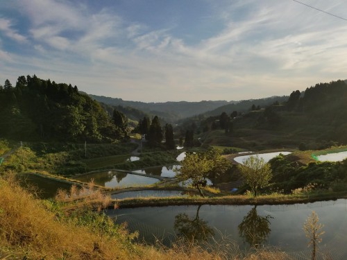 Terraced Rice Fields of Yamakoshi, Niigata prefecture, Japan.