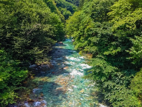 Canoeing in Shima river full of natures and have outdoor activities in Gunma prefecture.