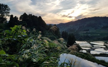 Yamakoshi village, Niigata, Japan.