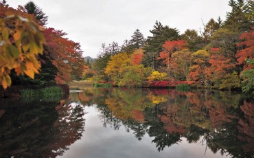 Karuizawa Cycling in the mountain resort, only one hour from Tokyo by Shinkansen.