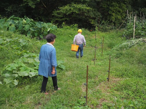 Farmer's stay in Bungotakada, Oita prefecture, Kyushu, Japan.