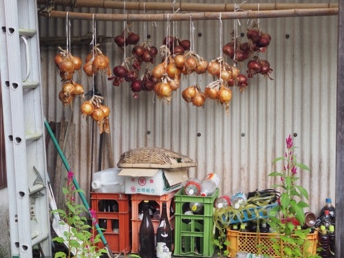 Farmer's stay in Bungotakada, Oita prefecture, Kyushu, Japan.