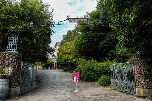 Ajimu Budoshu Koubou, also known as Ajimu Winery in Usa, Oita prefecture, Kyushu, Japan.