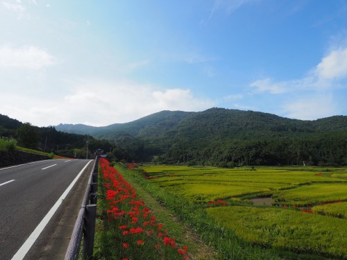 The rural scenery in Bungotakata, Oita, Kyushu