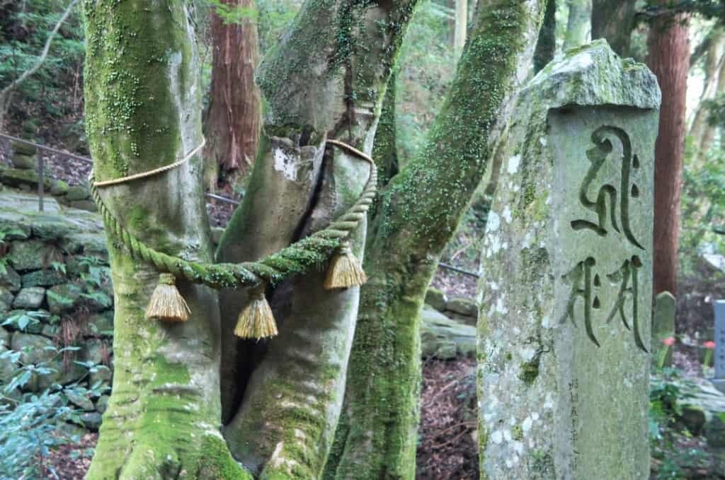 Kunisaki's Rokugo Manzan: The Sacred Mountain