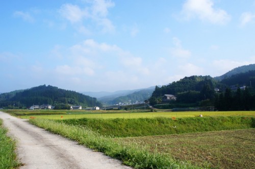 Countryside life in Oita, Kyushu, Japan.