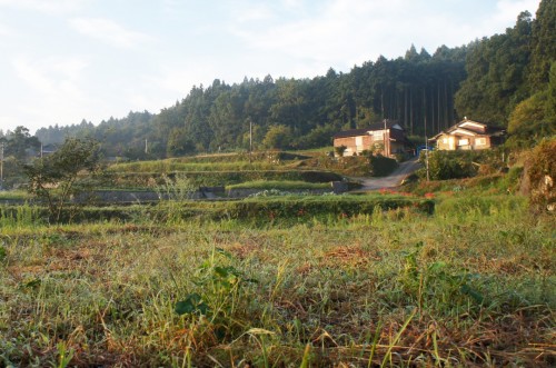 Countryside life in Oita, Kyushu, Japan.