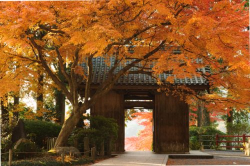 Daikozenji Temple (大興善寺) in Saga Prefecture, established in the early 9th century