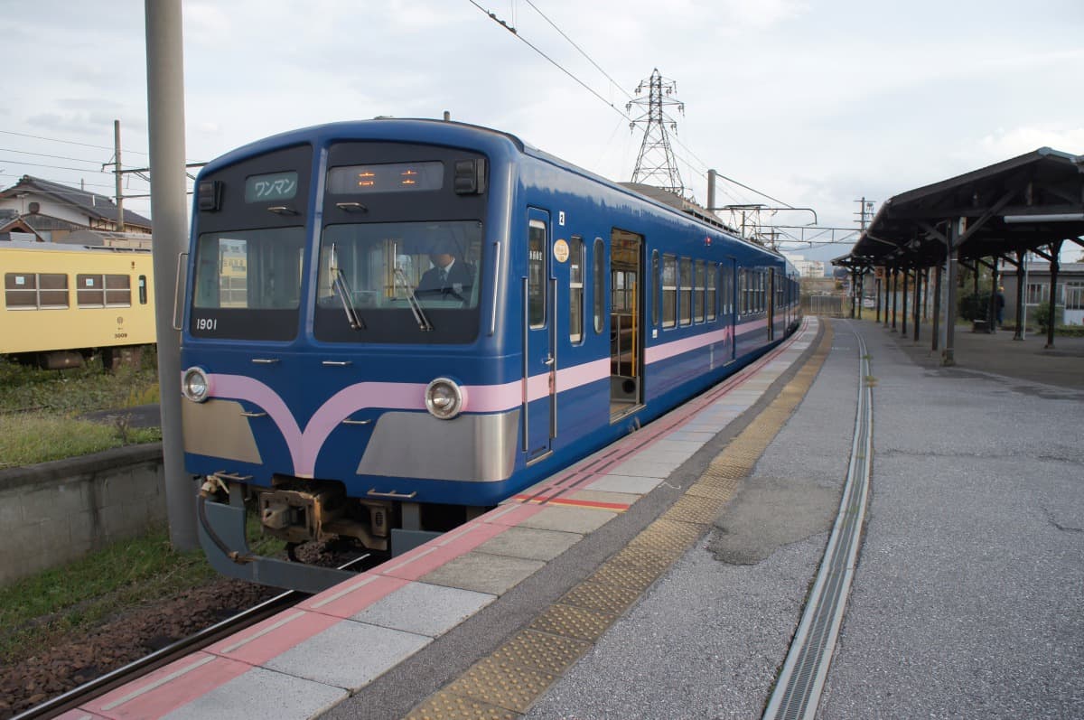 Discover Taga-taisha Shrine with Ohmi Railway