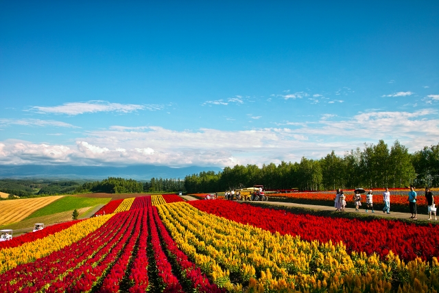 Hokkaido, Japan.