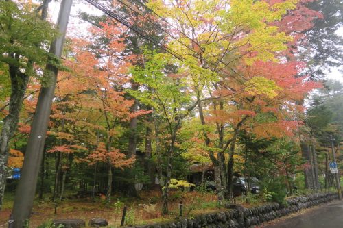 Karuizawa in Nagano Prefecture is known as summer retreat, with many things to do!