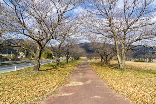 An Enjoyable Cycling Adventure Through Toon, Ehime