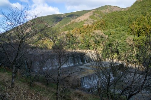 An Enjoyable Cycling Adventure Through Toon, Ehime