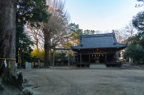 An Enjoyable Cycling Adventure Through Toon, Ehime