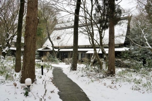 Nature in South Aso, Kumamoto Prefecture on the Kyushu island, Japan.