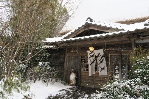 Nature in South Aso, Kumamoto Prefecture on the Kyushu island, Japan.