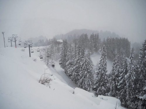 Ski and Snow-shoe experiences in Yamakoshi at Koshi Kogen