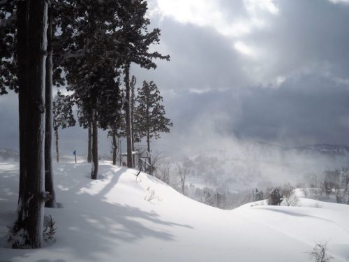 Ski and Snow-shoe experiences in Yamakoshi at Koshi Kogen