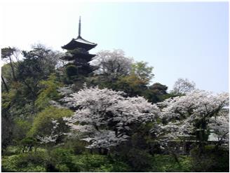Sankeien Garden, Yokohama