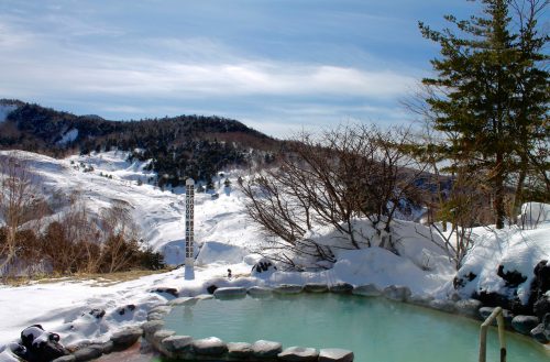Manza Prince Hotel features multiple rotemburo (outdoor onsen baths), for both men and women, that look out on a stunning mountainside vista.