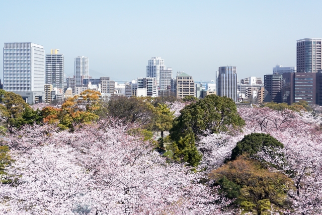 Fukuoka Castle Park