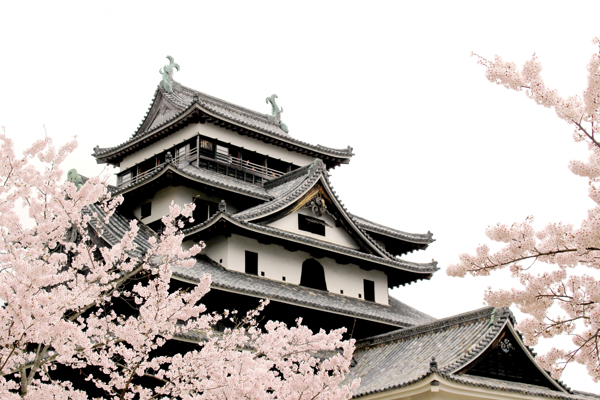 Matsue Castle